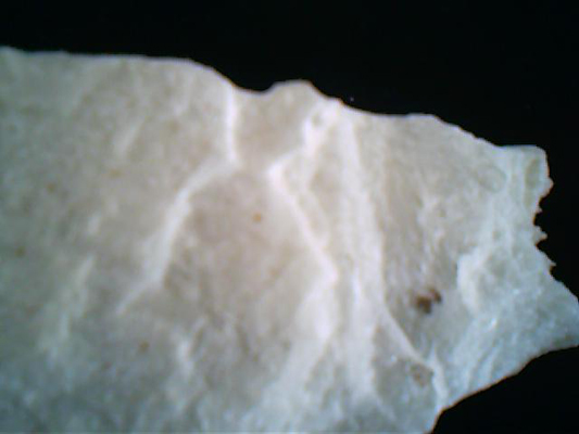 Dolomite Powder